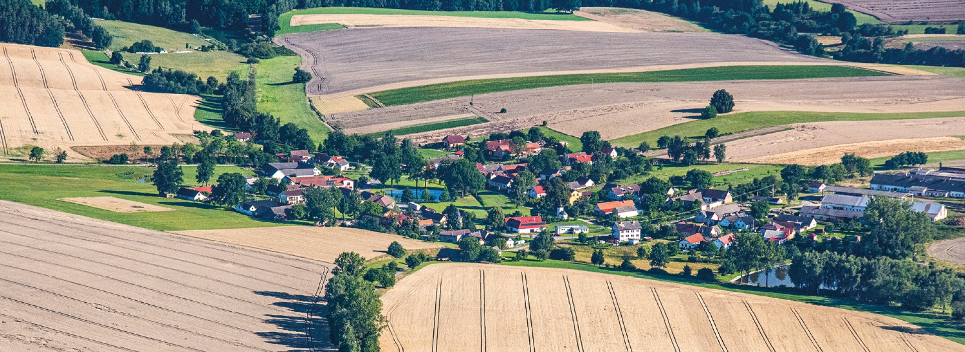 Měnič obrázků - fotografie